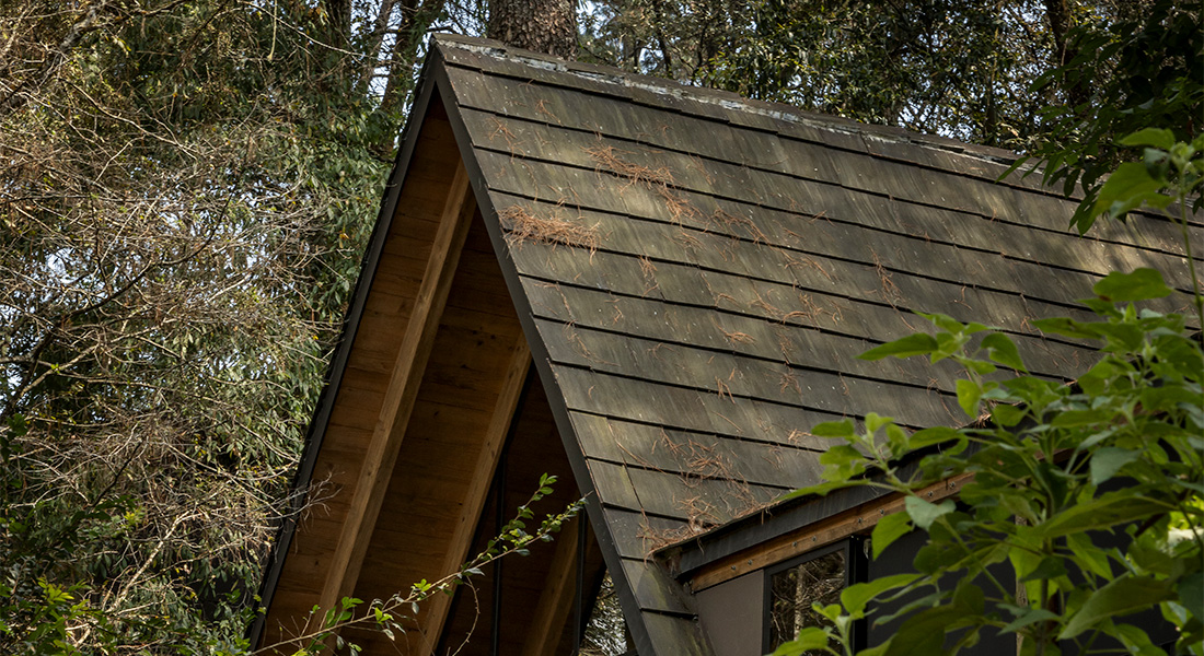 Interior & Architectural Photography